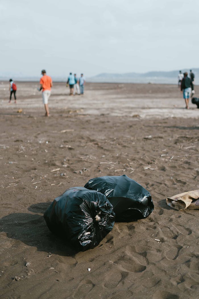 Trash bags on a beach with volunteers during a cleanup event.